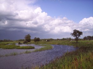 Rivier de Linde, vlakbij De Blesse. Bron: Taks, Wikimedia Commons.