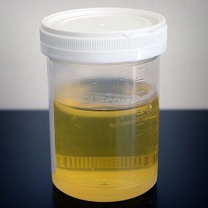 Urine verzameld tijdens Vierdaagsefeesten. Foto via wikimedia commons