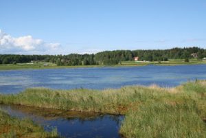 Ålsjön natuurreservaat