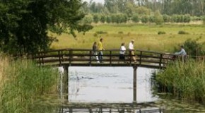 Wandelroutes in de Hollandse Biesbosch nu gebundeld