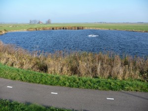 LAW Trekvogelpad. Etappe De Rijp - Zaandam - Foto Wim-Edelman