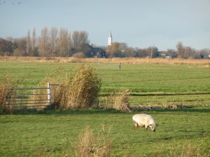 LAW Trekvogelpad. Etappe Zaandam - Broek in Waterland - Foto Wim-Edelman