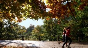 Hardlopen kan prima in de herfst