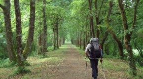 Drie wandelgidsen genomineerd voor Wandeltrofee