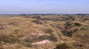 Duinen in Zuid-Kennemerland. Bron: wikipedia
