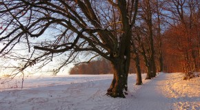 Fotowedstrijd 'Winterwandelen'