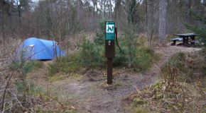 Wildkamperen in Nederland: paalkamperen