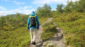 Gränslandet : wandelen op de grens van Zweden en Noorwegen