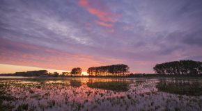 Zonsondergang, over de Nieuwe Dordtse Biesbosch: Frank Peters