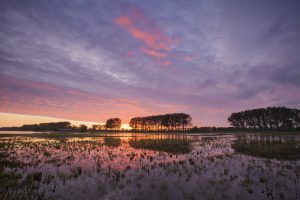 Zonsondergang, over de Nieuwe Dordtse Biesbosch: Frank Peters