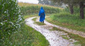Factcheck: kan je het beste wandelen of rennen door de regen?