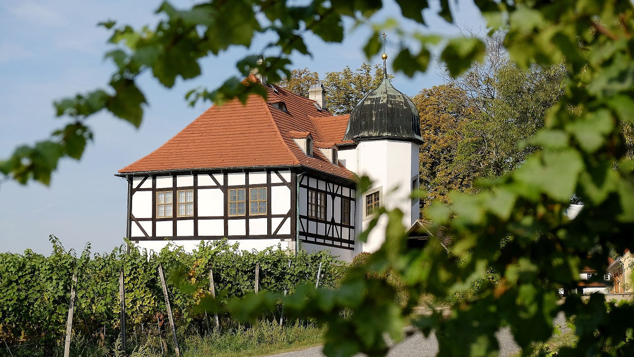 Saksische Wijnwandelweg