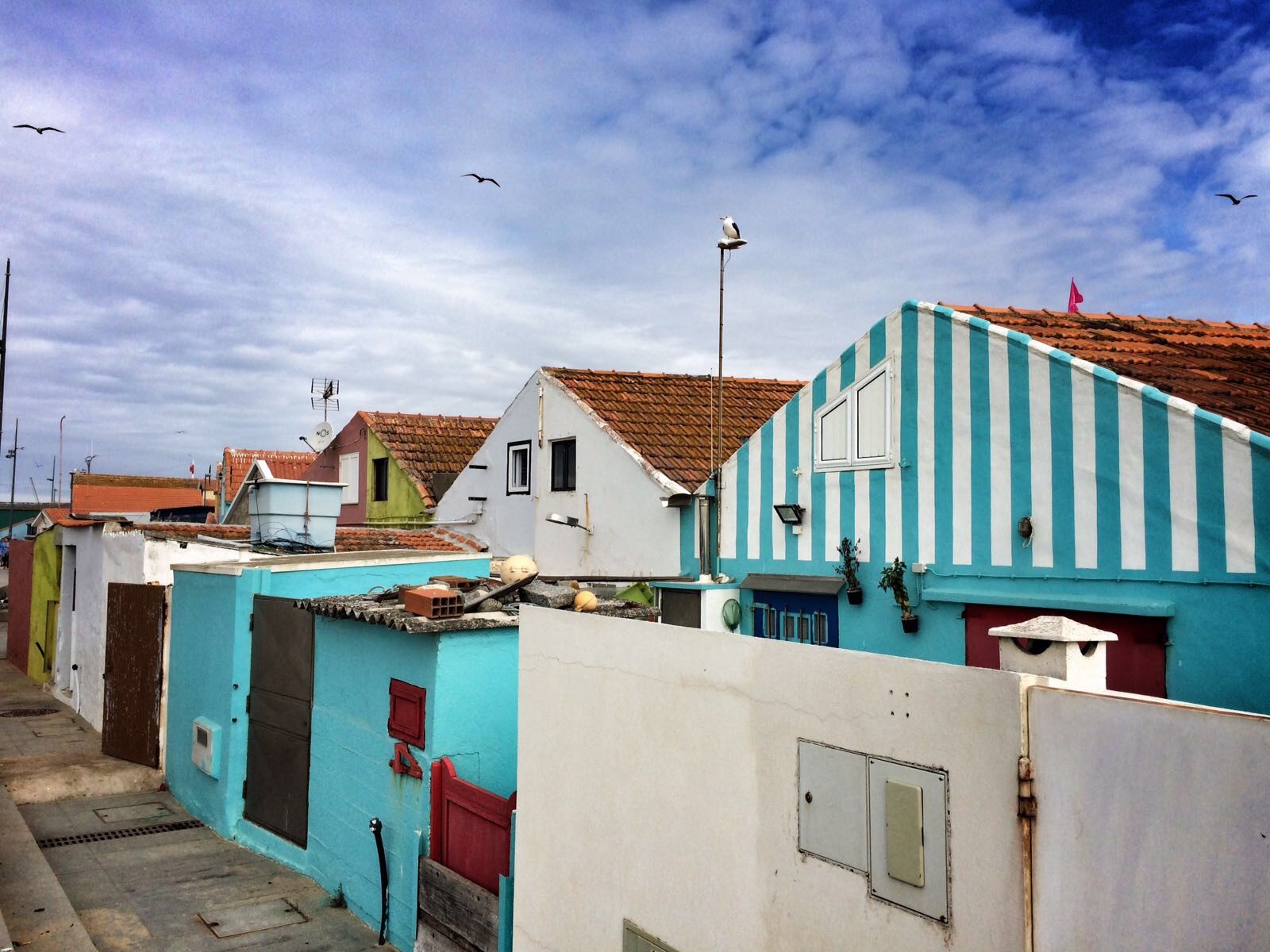 op de Camino Portugué kom je ook langs kleurrijke huizen