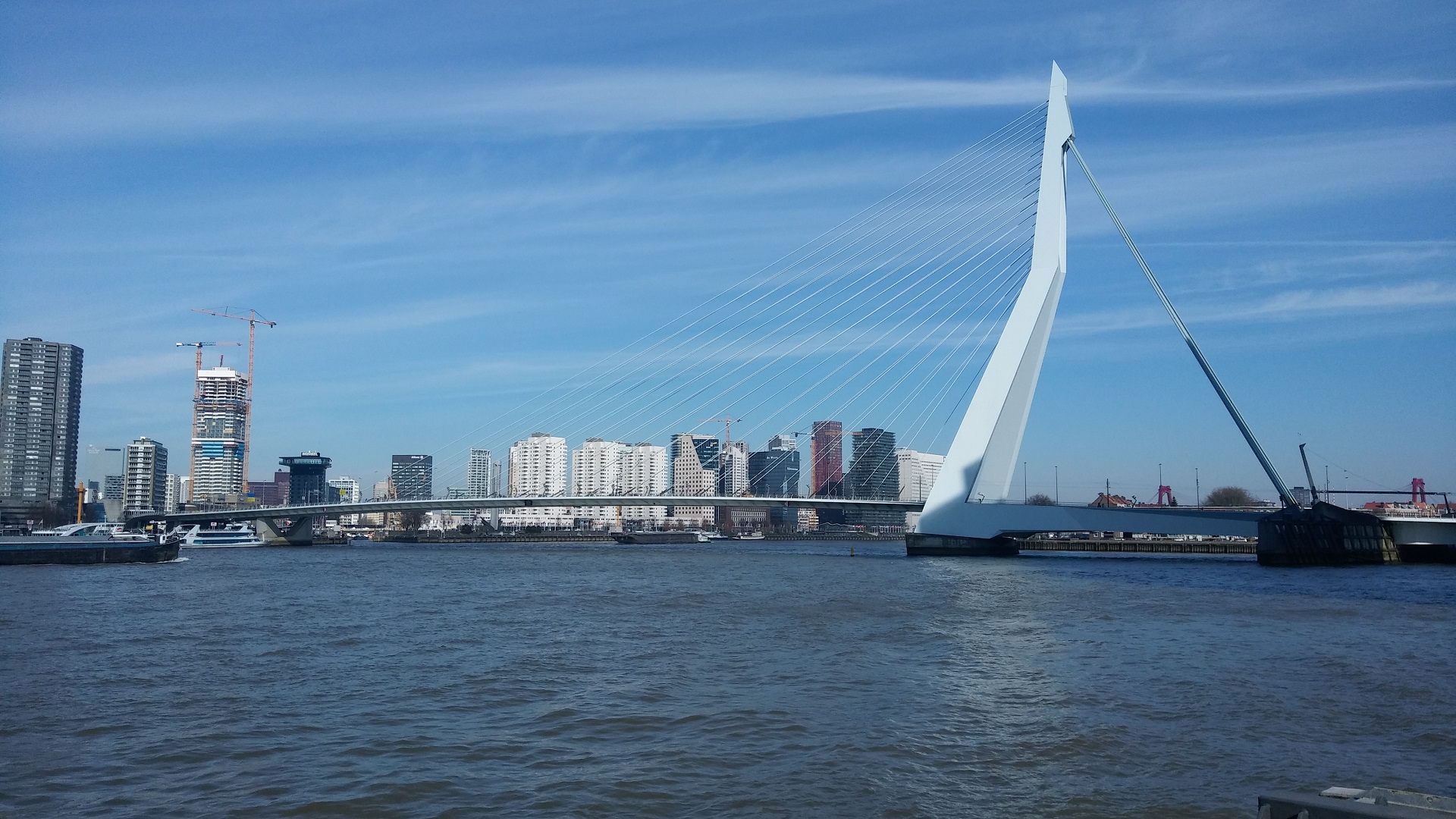Wandelen langs de haven van Rotterdam