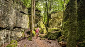 Betoverende wandelingen: De magie van de Luxemburgse regio Müllerthal