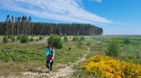 Het Baltische Kustpad: Litouwse natuur met een Hollands gevoel